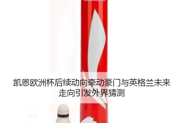 凯恩欧洲杯后续动向牵动豪门与英格兰未来走向引发外界猜测 - wukongsports